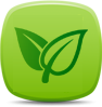 Eco-Friendly Cleaning